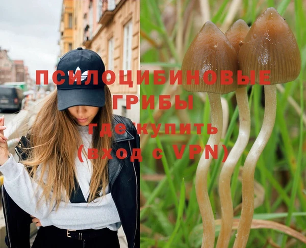 герыч Алзамай