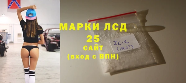 ПСИЛОЦИБИНОВЫЕ ГРИБЫ Алексин