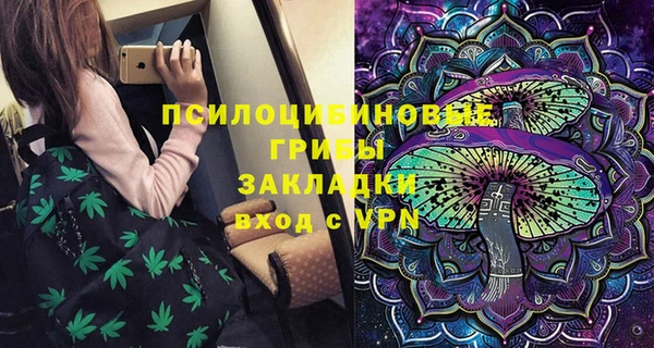 МДПВ Алексеевка
