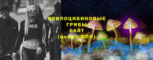 МДПВ Алексеевка