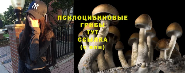 герыч Алзамай