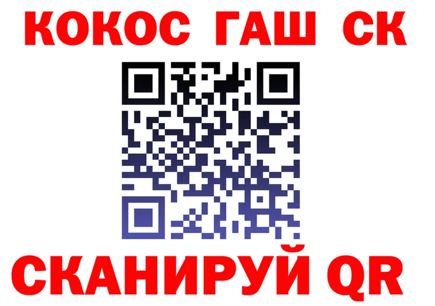 ГАШ Premium зеркало маркетплейс блэк спрут Кашин